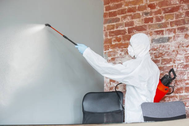 Best Emergency Mold Remediation  in Helena West Helena, AR