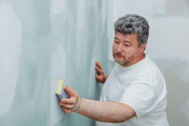 Best Post-Construction Mold Inspection  in Helena West Helena, AR