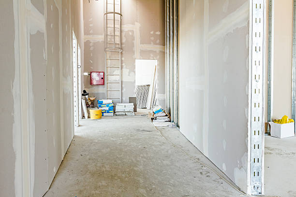 Best Black Mold Removal  in Helena West Helena, AR